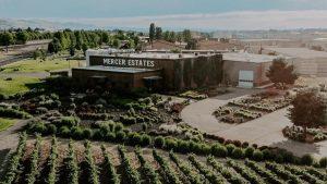 What wine goes with seafood