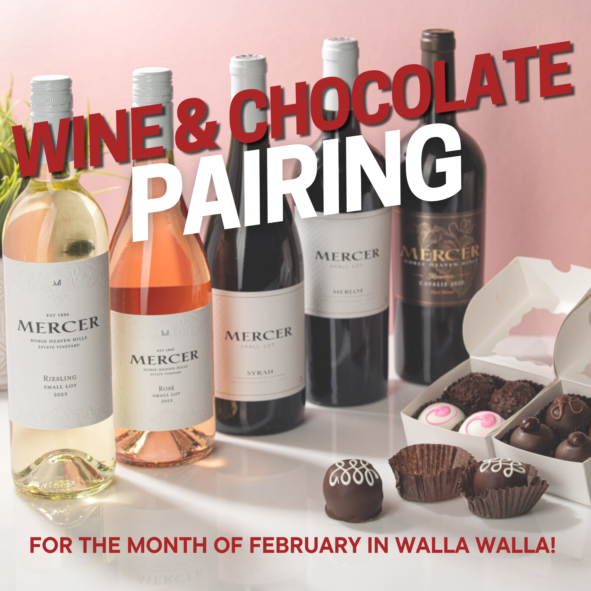 Wine & Chocolate Pairing